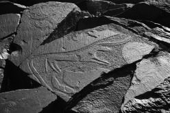 KAZAKHSTAN: petroglyph in Tamgaly, UNESCO World Heritage Site