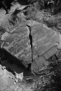 KAZAKHSTAN: petroglyph in Tamgaly, UNESCO World Heritage Site