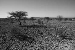 SOMALILAND: Hargeisa countryside