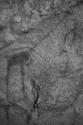 SOMALILAND: Laas Geel, giraffe