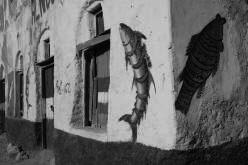 SOMALILAND: city of Berbera, streets in the downtown