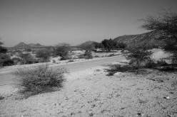 SOMALILAND: near battlesite of Tug Argan