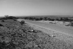 SOMALILAND: near battlesite of Tug Argan