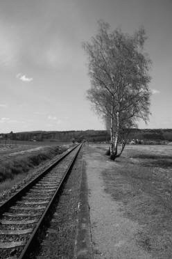 KORNATICE p�ed rekonstrukc� (2021)